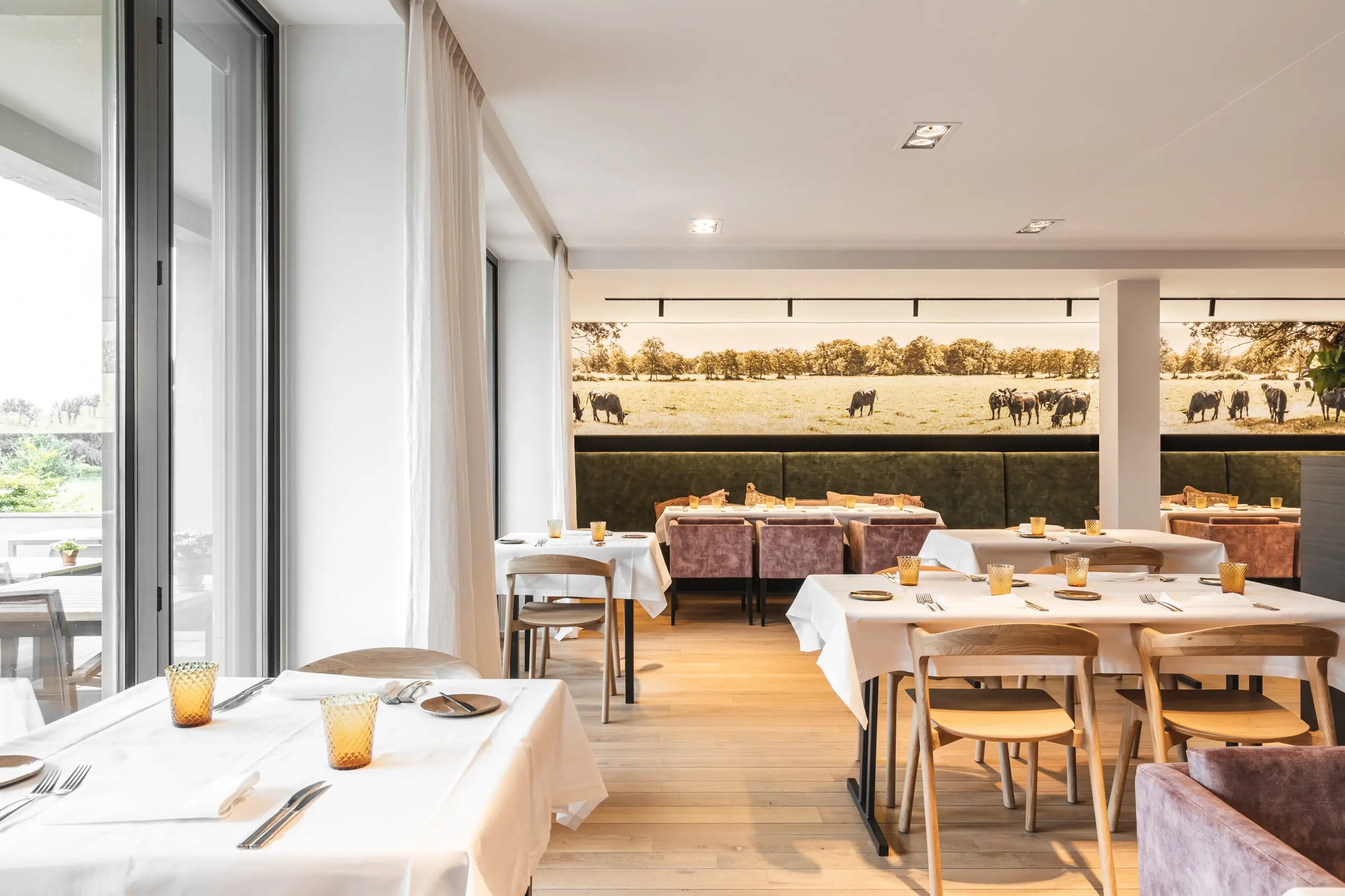 Eetzaal van restaurant Argendael met witte muren, linnen gordijnen, gedekte tafels en een fotobehang met grazende runderen